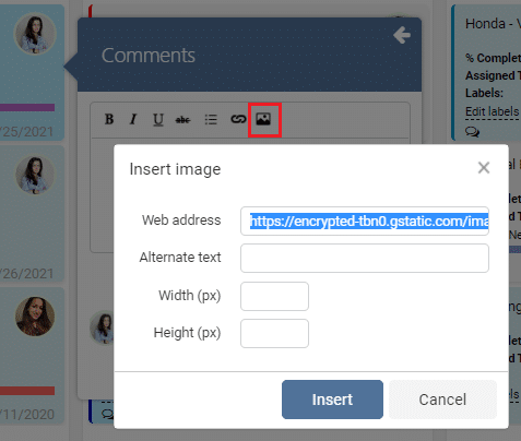 Insert image dialog box with web address, alternate text, and dimension fields