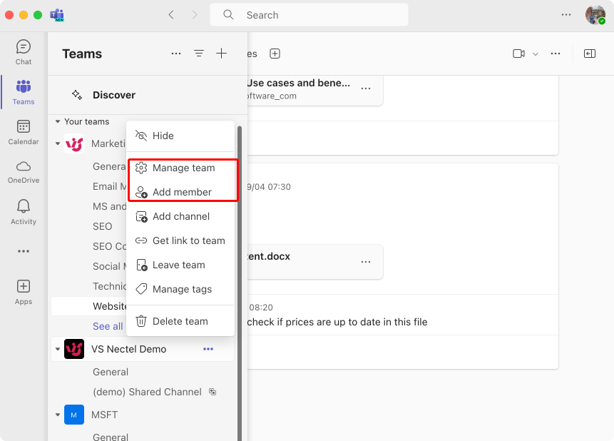 Adding a member via “Manage team” or “Add member”.