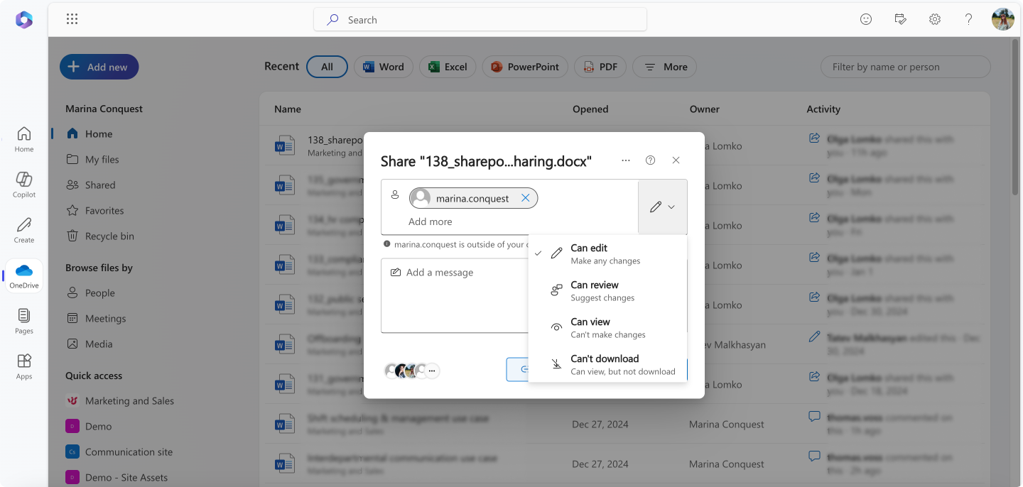 Pic. 10. Adding an external user’s email address and choosing their permission level.