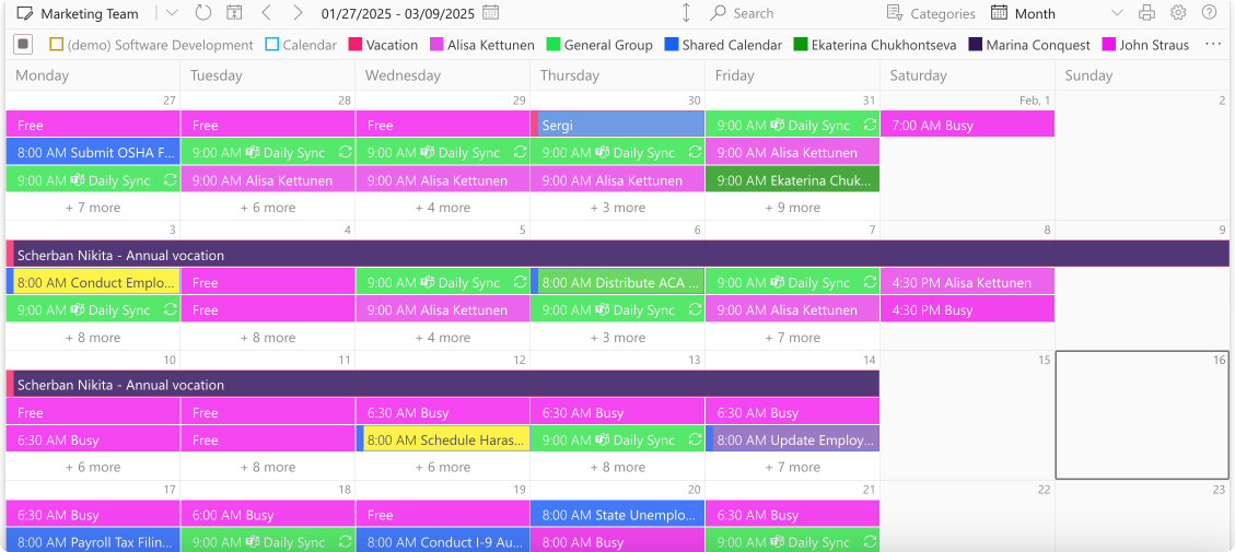 Pic. 4. Example Virto Calendar App within SharePoint.